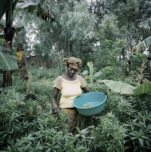 Chris de Bode’s new Concern project Food in a Fragile World featured on the BBC