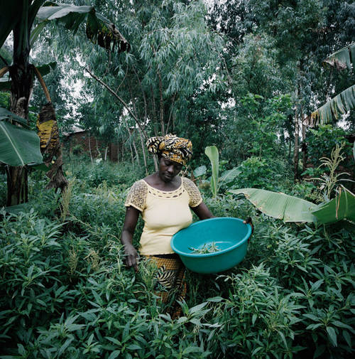 Food in a Fragile World, an outdoor photo exhibition for Concern Worldwide