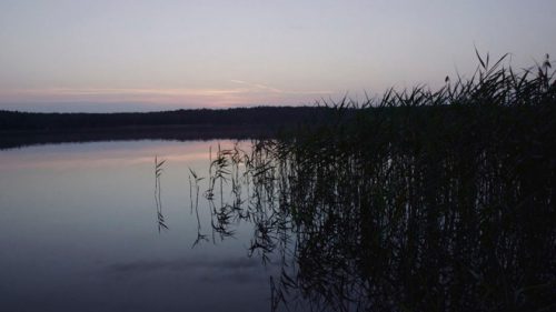 Piotr Małecki’s short film George and George on the Lake shown at Krakow Film Festival