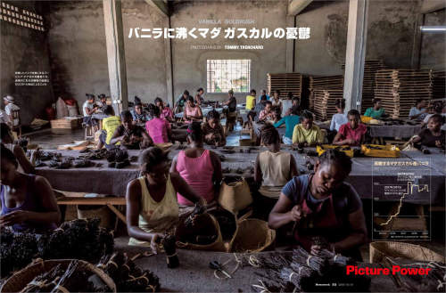 Photo story on vanilla cultivation in Madagascar published in Newsweek Japan