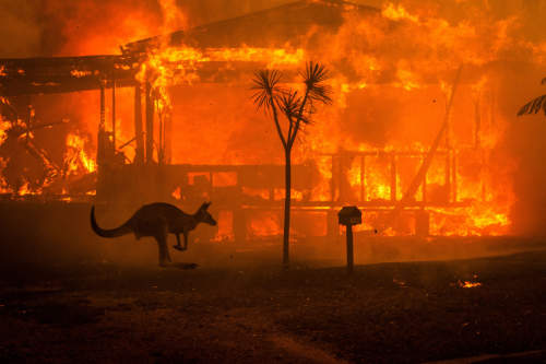 Australian bushfires by Matthew Abbott