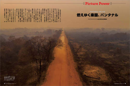 Lalo de Almeida’s ‘Pantanal Ablaze’ published in Newsweek Japan