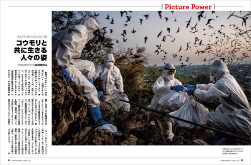 Adam Dean published in Newsweek Japan