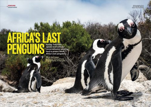 Tommy Trenchard featured in Geographical magazine